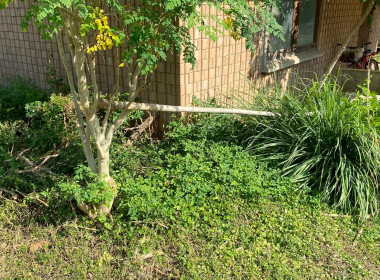 Big Cleaning Day ครั้งที่ 2 โครงการสมดุลชีวิตคนทำงาน พารามิเตอร์รูปภาพ 42